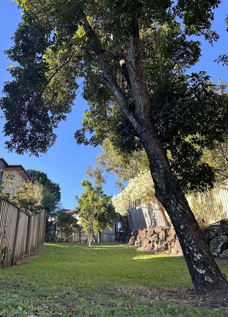 Residential backyard on the southern side of the scheme